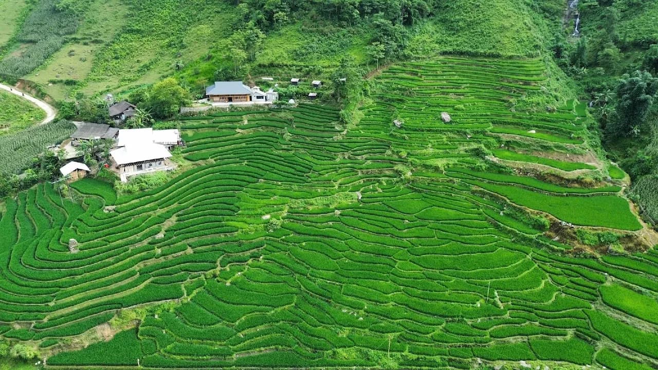 Homestay Bees Sapa & Trekking